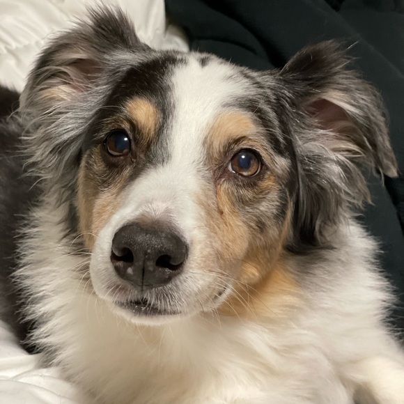 Meet your Posher, Kevin - Picture 3 of 5